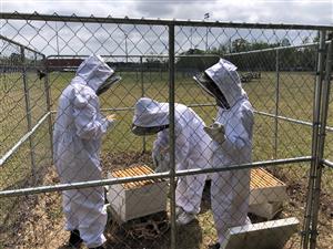 Katie, Savannah and Dawson check the hives.