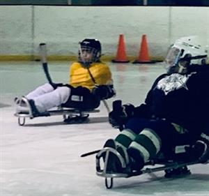 sled hockey