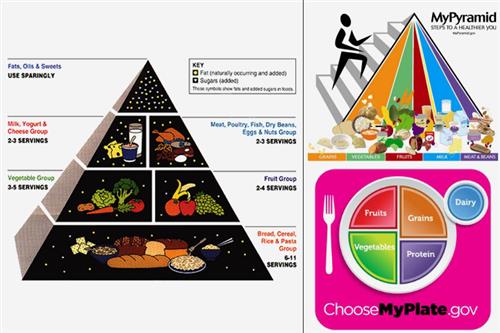 Food Pyramid 